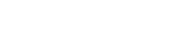 VeSoko