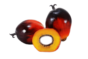 Banga Palm Fruit Extract – 800g