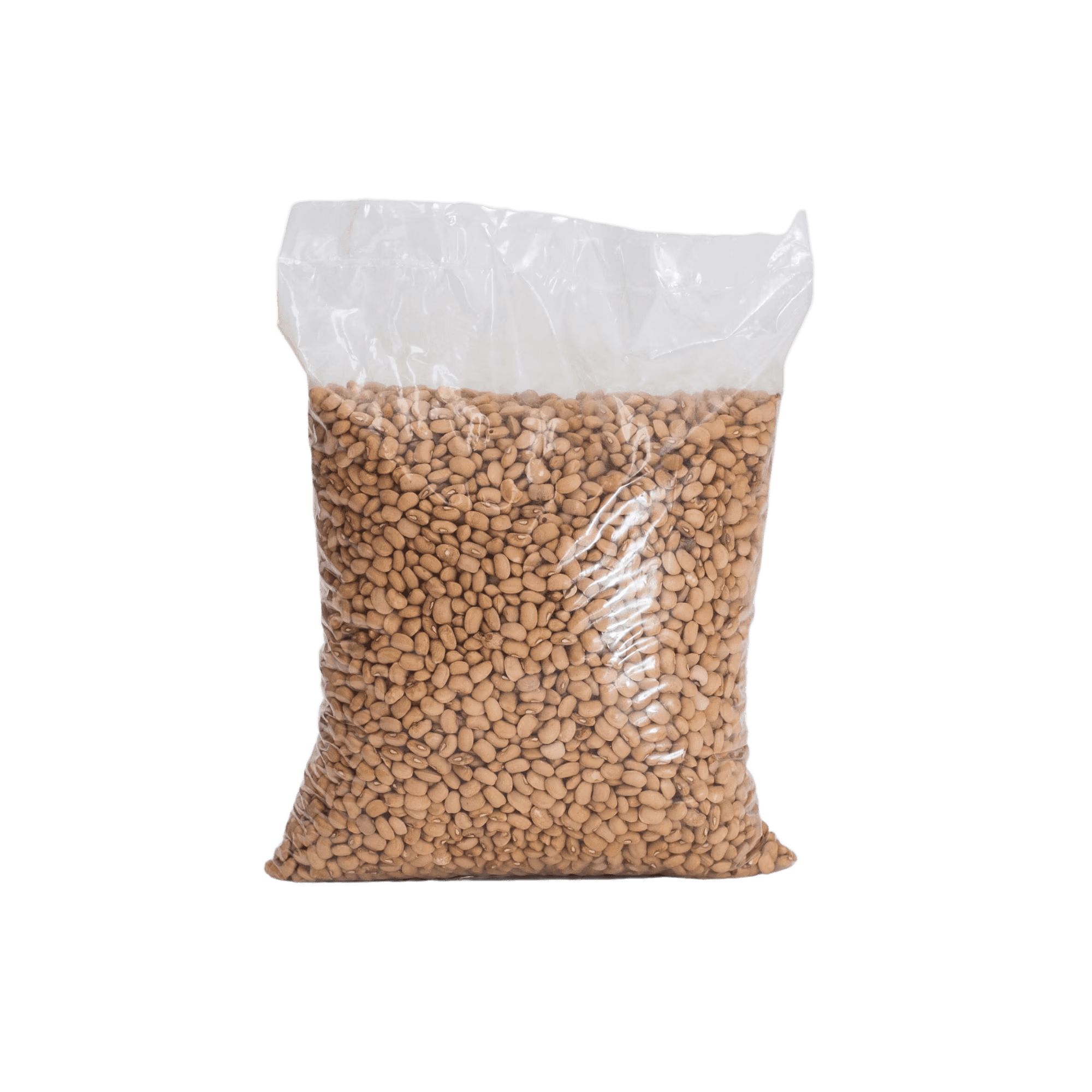 Oloyin Beans 10lb - Honey Beans
